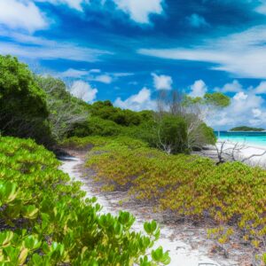 Urlaub Seychellen • Curieuse (Sehenswürdigkeiten)